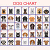 a grid of 24 different dog breeds, each with a unique illustration. The dogs are arranged in a 4x6 grid, with each row representing a different dog breed and each column representing a different dog. The image is a collage of various dog breeds, and there are no specific descriptions provided.