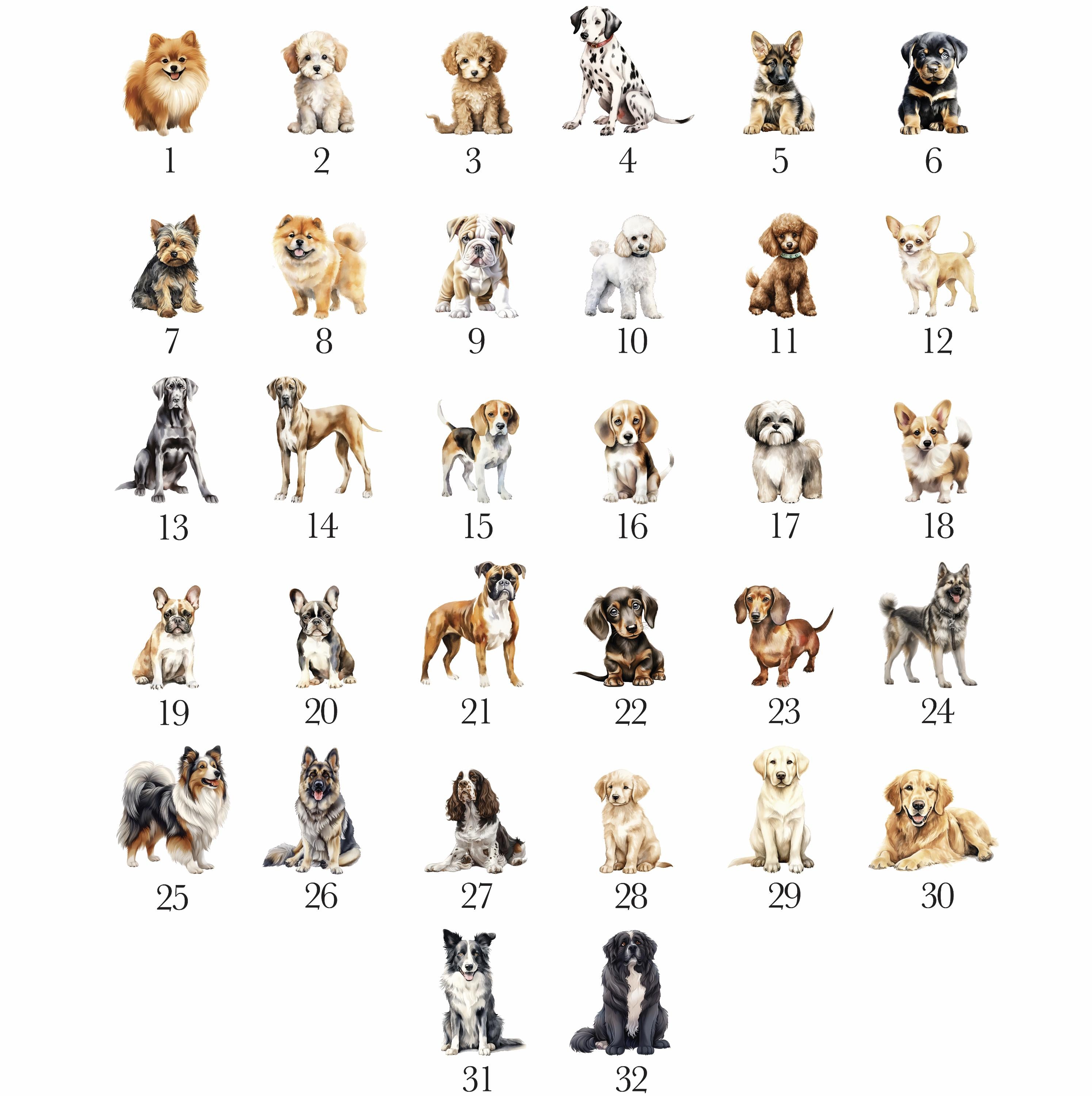 a picture of a number of dogs in different colors
