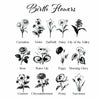 a black and white image of different types of flowers