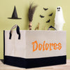 A white storage bin with the name "Dolores" printed on it, placed on a wooden floor against a green wall. In the background, there is a black witch's hat, a broom, and a ghost.