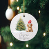 a christmas ornament hanging from a christmas tree