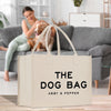 a woman sitting on a couch with a dog in a bag