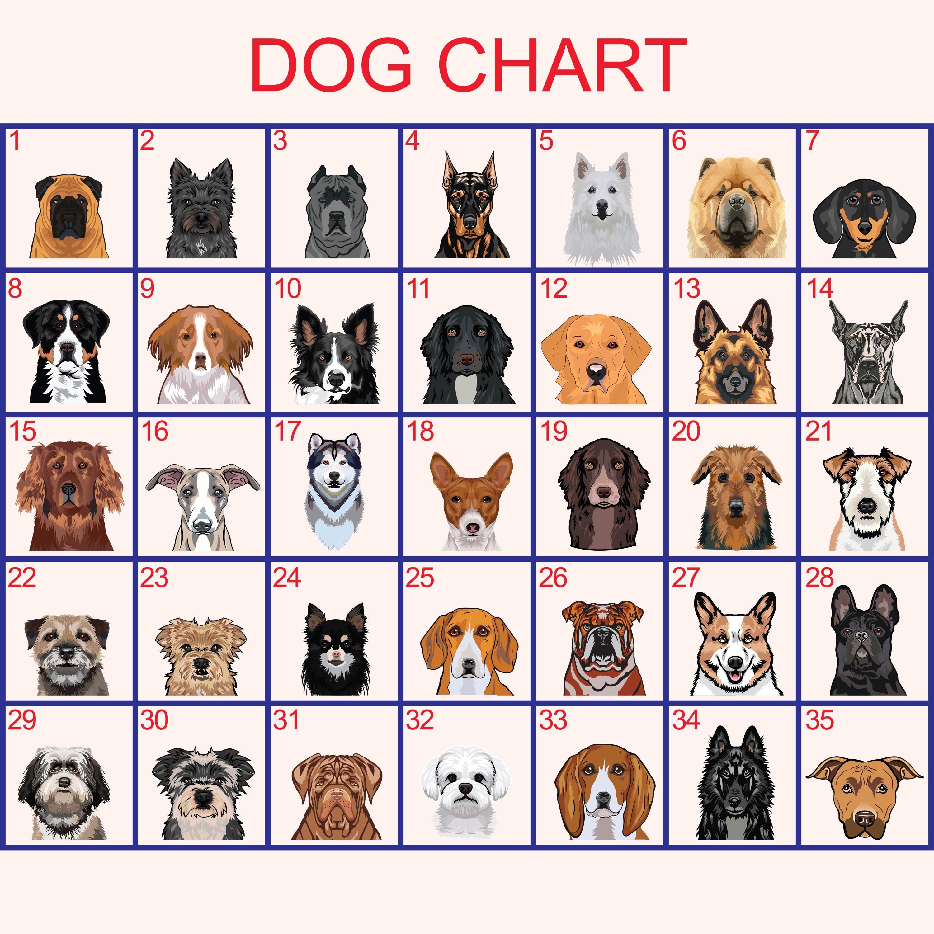 a grid of 24 different dog breeds, each with a unique illustration. The dogs are arranged in a 4x6 grid, with each row representing a different dog breed and each column representing a different dog. The image is a collage of various dog breeds, and there are no specific descriptions provided.