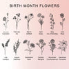 a collection of twelve illustrations representing different types of flowers, each corresponding to a specific month of the year.