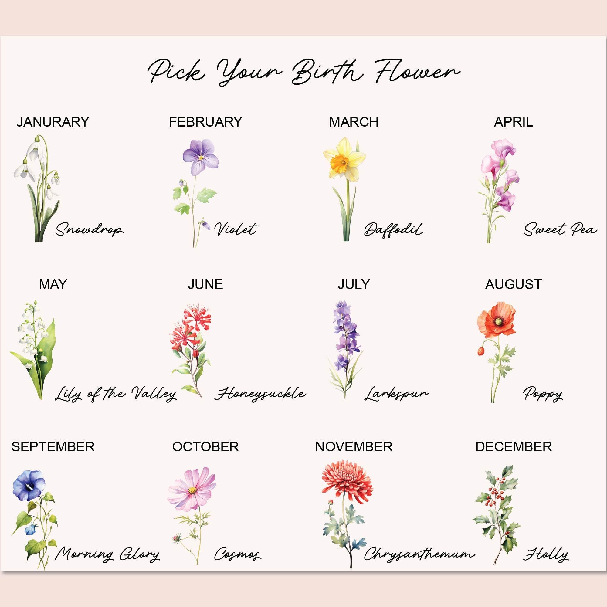 a picture of flowers with the names of them