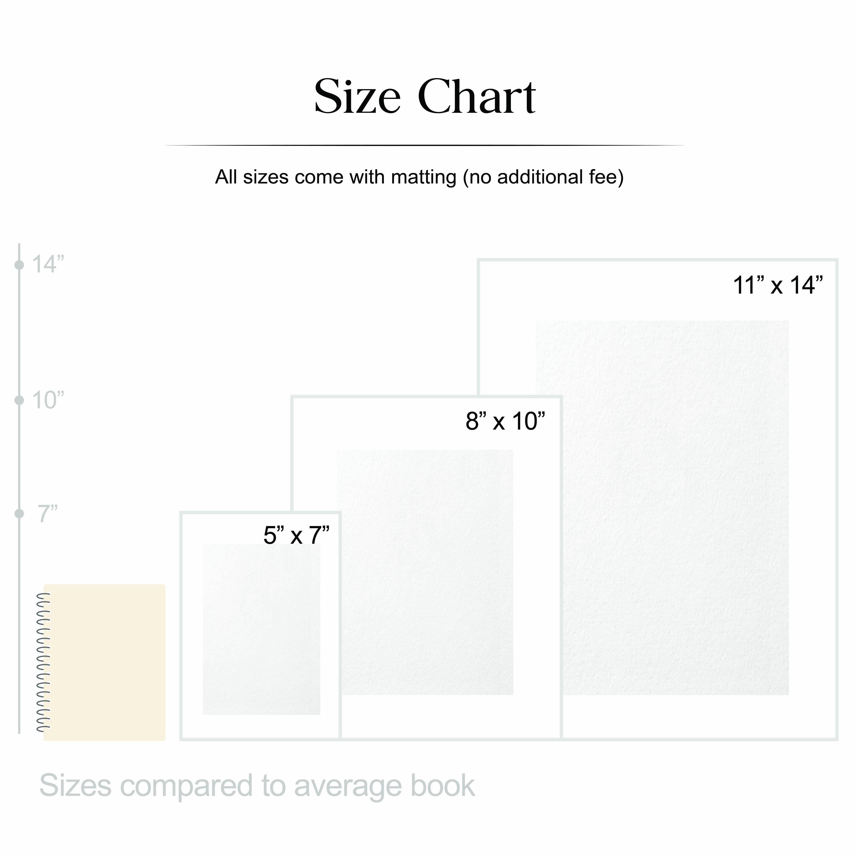 The image is a size chart that compares the sizes of different book sizes, with the largest size being compared to the average book size.