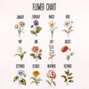 The image is a flower chart that shows the different types of flowers that bloom in each month of the year.