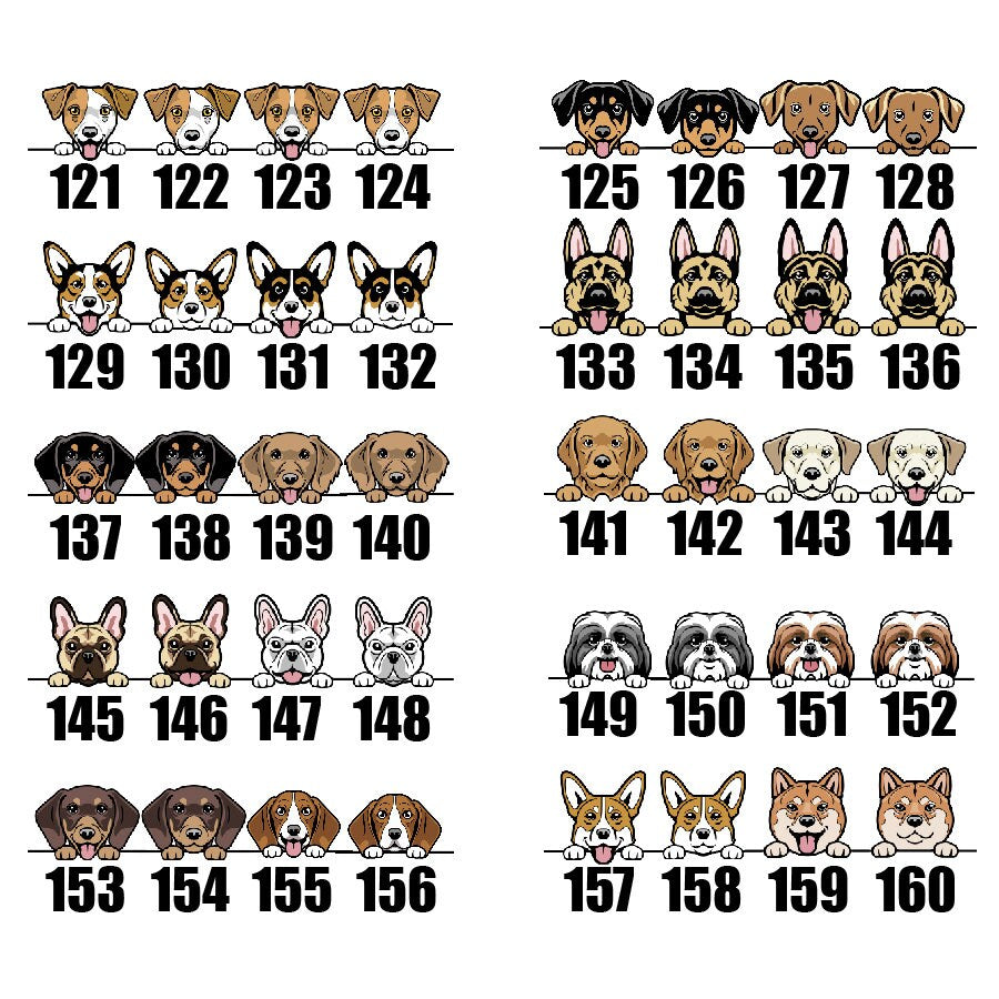 a set of dogs with numbers on them