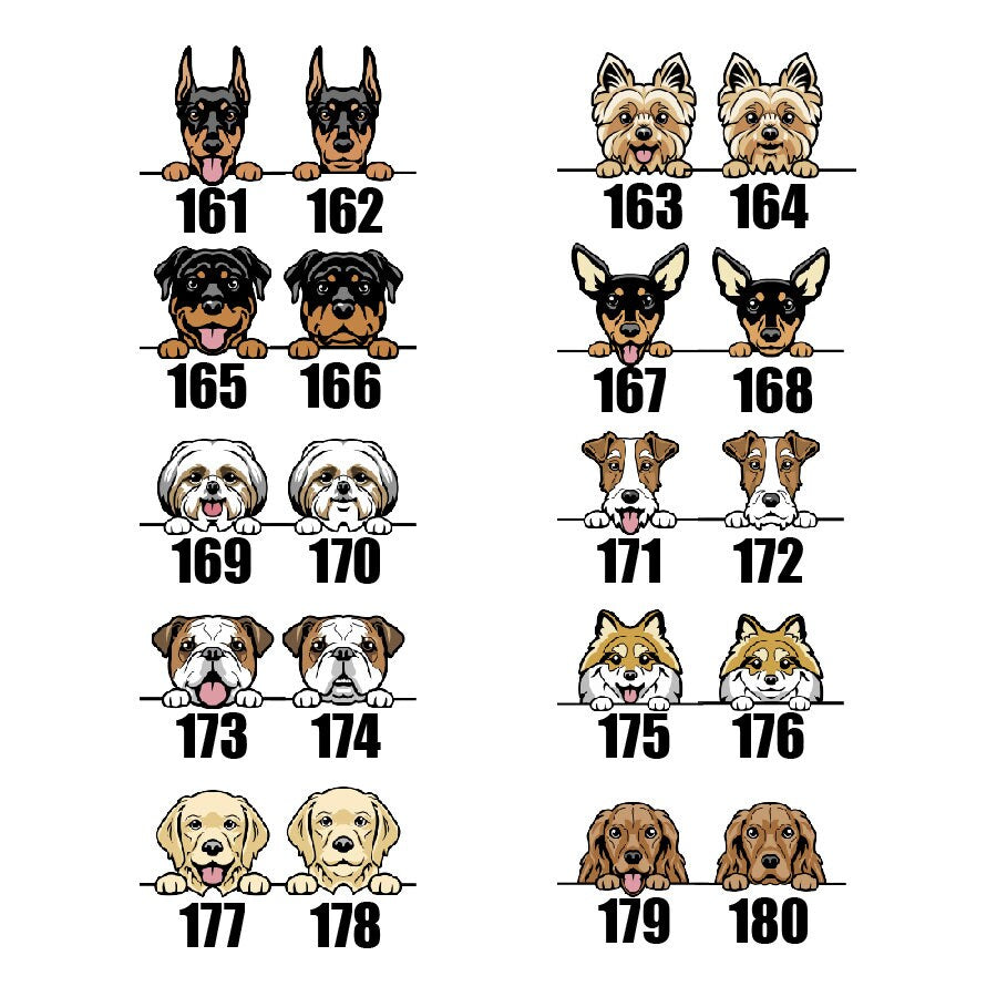 a number of dogs with numbers on them