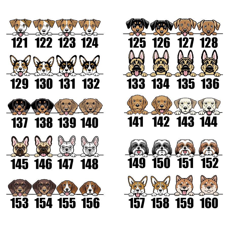 a set of dogs with numbers on them