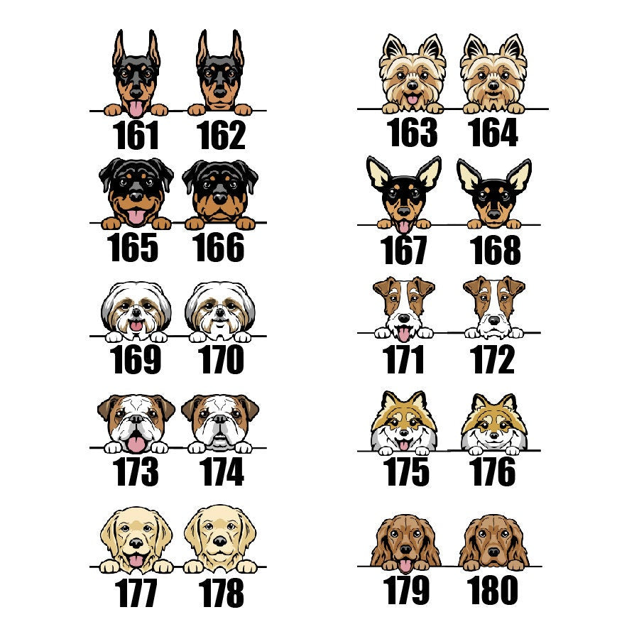 a number of dogs with numbers on them