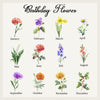 a poster with flowers and the names of each flower