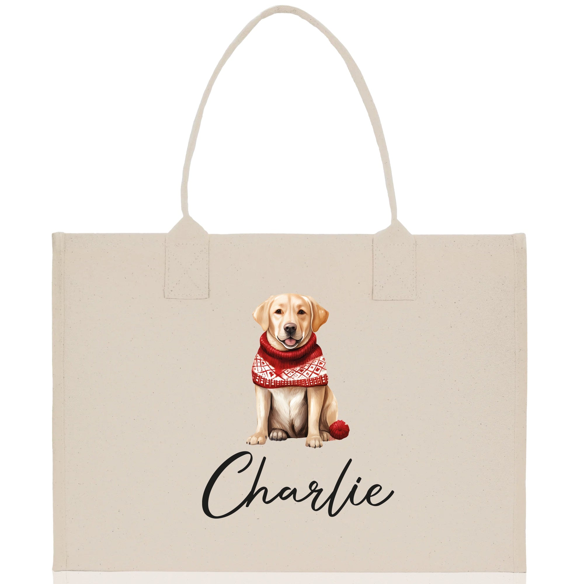a bag with a dog wearing a scarf