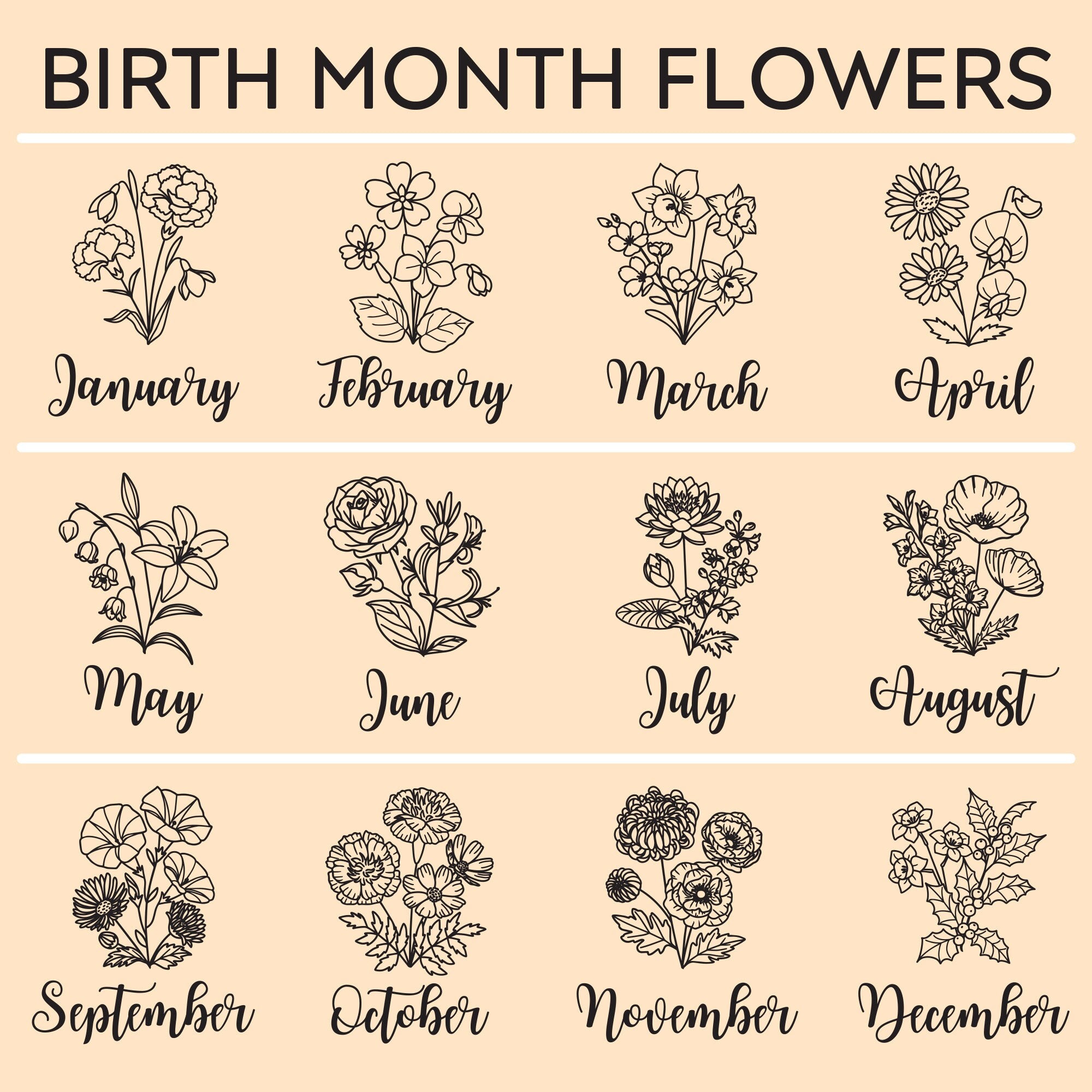 a bunch of flowers that are in different font styles